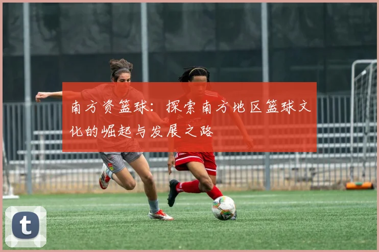 南方资篮球：探索南方地区篮球文化的崛起与发展之路