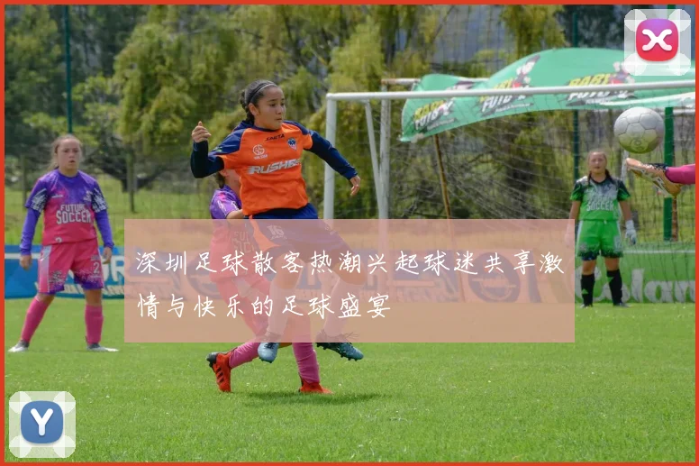 深圳足球散客热潮兴起球迷共享激情与快乐的足球盛宴