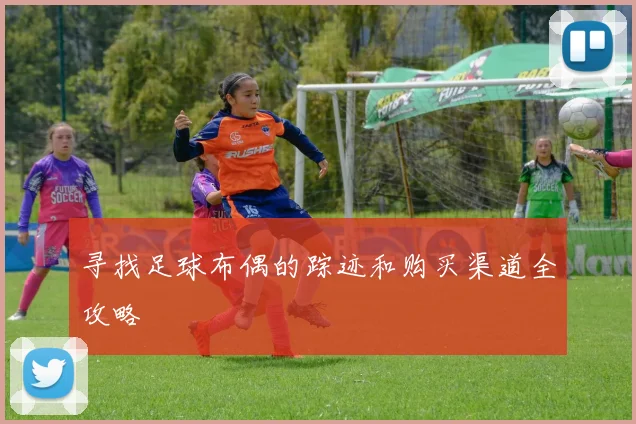 寻找足球布偶的踪迹和购买渠道全攻略