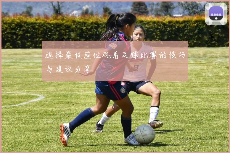 选择最佳座位观看足球比赛的技巧与建议分享