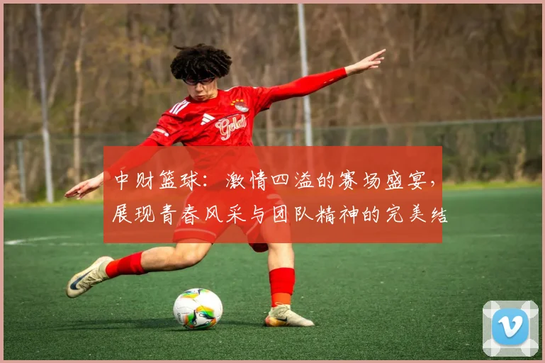 中财篮球：激情四溢的赛场盛宴，展现青春风采与团队精神的完美结合