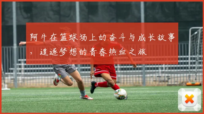 阿牛在篮球场上的奋斗与成长故事，追逐梦想的青春热血之旅